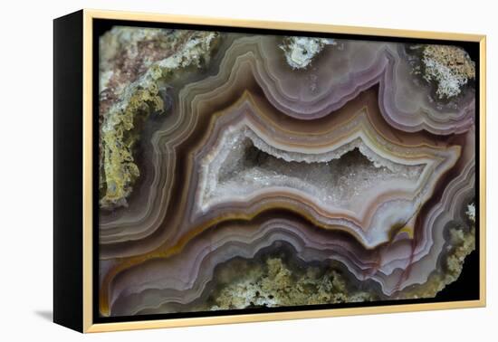 Banded Agate, Sammamish, Washington-Darrell Gulin-Framed Premier Image Canvas