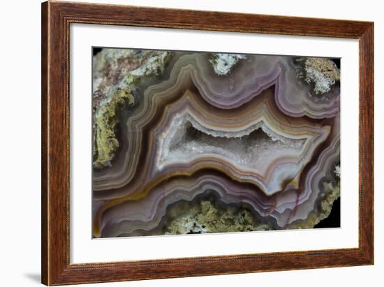 Banded Agate, Sammamish, Washington-Darrell Gulin-Framed Photographic Print