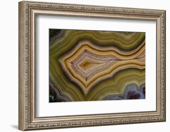 Banded Agate, Sammamish, Washington-Darrell Gulin-Framed Photographic Print