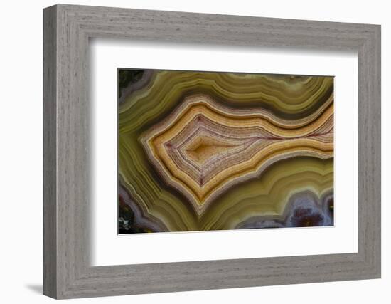 Banded Agate, Sammamish, Washington-Darrell Gulin-Framed Photographic Print