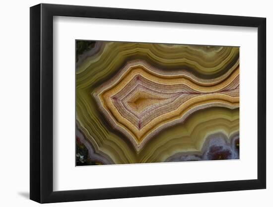 Banded Agate, Sammamish, Washington-Darrell Gulin-Framed Photographic Print