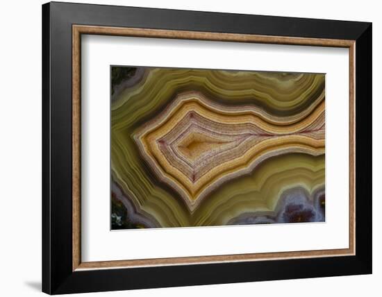 Banded Agate, Sammamish, Washington-Darrell Gulin-Framed Photographic Print