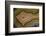 Banded Agate, Sammamish, Washington-Darrell Gulin-Framed Photographic Print