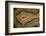 Banded Agate, Sammamish, Washington-Darrell Gulin-Framed Photographic Print