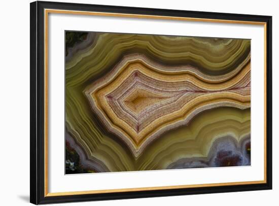 Banded Agate, Sammamish, Washington-Darrell Gulin-Framed Photographic Print