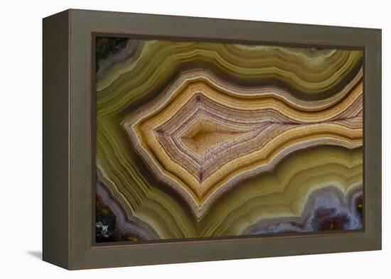 Banded Agate, Sammamish, Washington-Darrell Gulin-Framed Premier Image Canvas