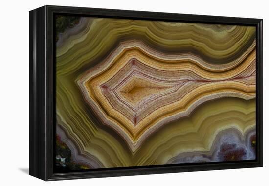 Banded Agate, Sammamish, Washington-Darrell Gulin-Framed Premier Image Canvas