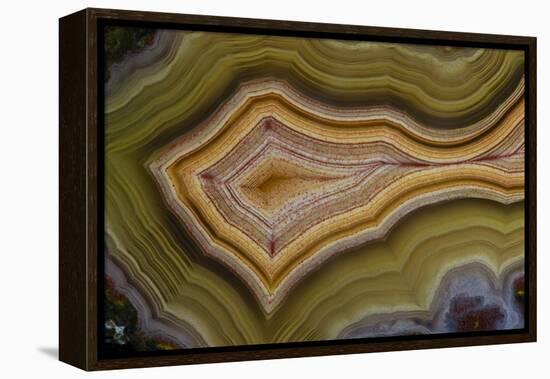 Banded Agate, Sammamish, Washington-Darrell Gulin-Framed Premier Image Canvas