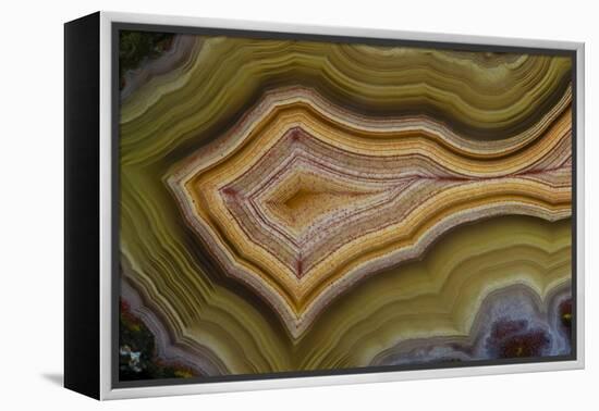 Banded Agate, Sammamish, Washington-Darrell Gulin-Framed Premier Image Canvas