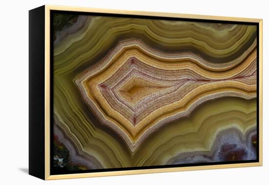 Banded Agate, Sammamish, Washington-Darrell Gulin-Framed Premier Image Canvas