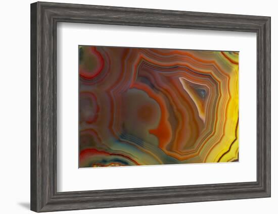 Banded Agate, Sammamish, Washington-Darrell Gulin-Framed Photographic Print