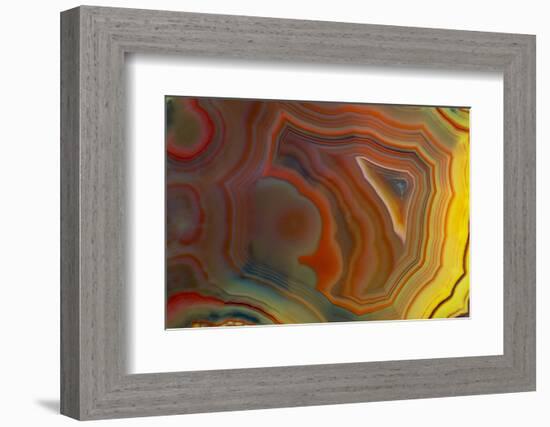 Banded Agate, Sammamish, Washington-Darrell Gulin-Framed Photographic Print