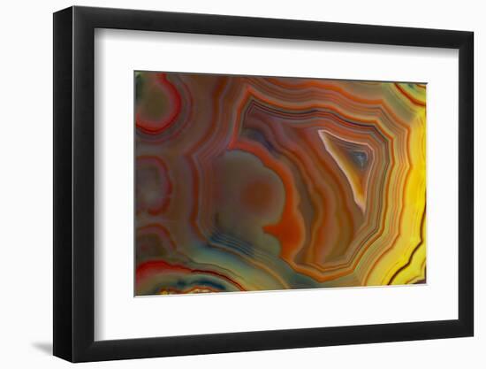 Banded Agate, Sammamish, Washington-Darrell Gulin-Framed Photographic Print