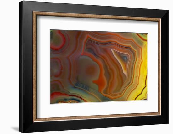 Banded Agate, Sammamish, Washington-Darrell Gulin-Framed Photographic Print