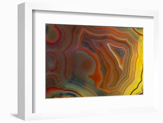 Banded Agate, Sammamish, Washington-Darrell Gulin-Framed Photographic Print