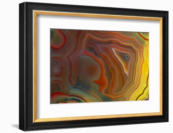 Banded Agate, Sammamish, Washington-Darrell Gulin-Framed Photographic Print