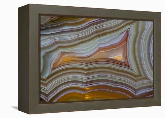 Banded Agate, Sammamish, Washington-Darrell Gulin-Framed Premier Image Canvas