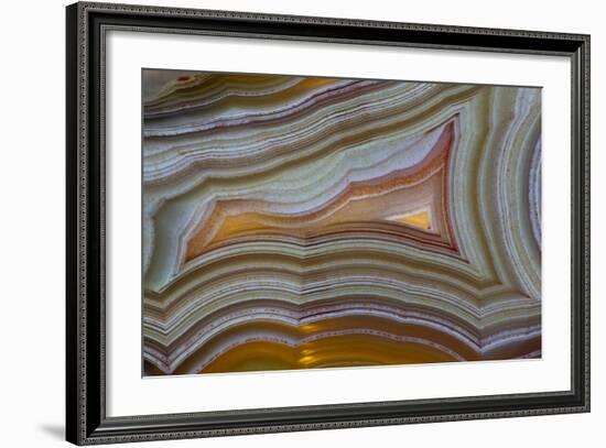 Banded Agate, Sammamish, Washington-Darrell Gulin-Framed Photographic Print