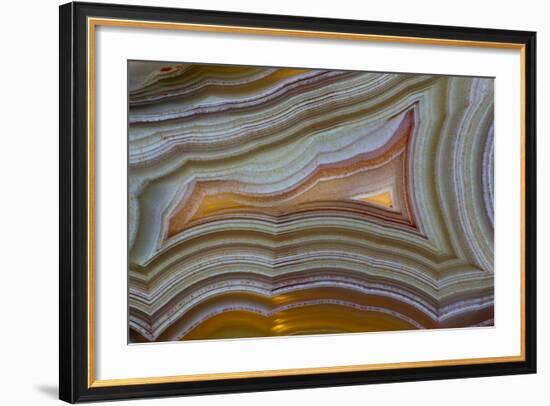 Banded Agate, Sammamish, Washington-Darrell Gulin-Framed Photographic Print