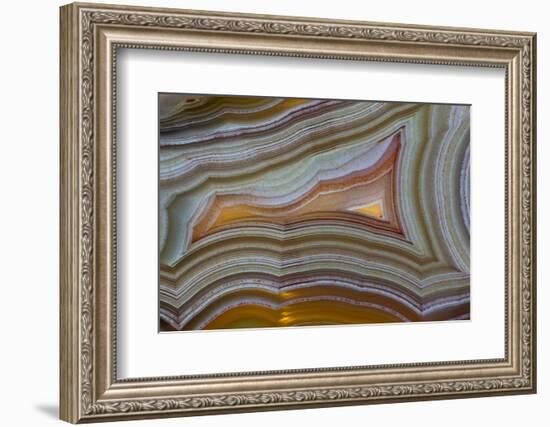 Banded Agate, Sammamish, Washington-Darrell Gulin-Framed Photographic Print