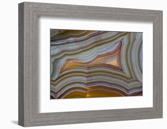 Banded Agate, Sammamish, Washington-Darrell Gulin-Framed Photographic Print