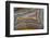 Banded Agate, Sammamish, Washington-Darrell Gulin-Framed Photographic Print