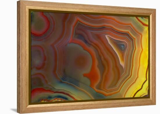 Banded Agate, Sammamish, Washington-Darrell Gulin-Framed Premier Image Canvas