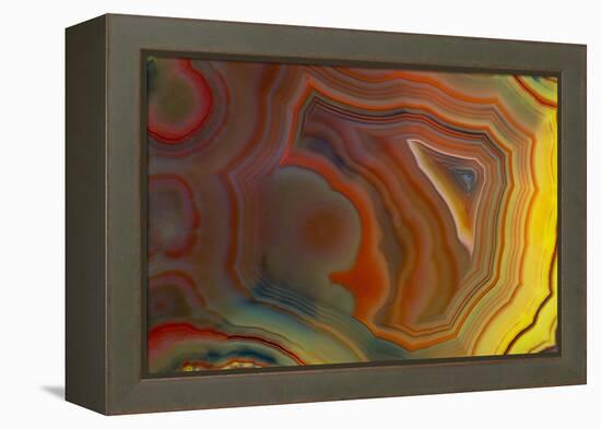 Banded Agate, Sammamish, Washington-Darrell Gulin-Framed Premier Image Canvas