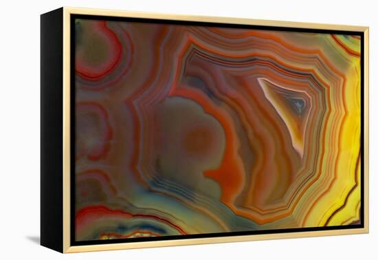 Banded Agate, Sammamish, Washington-Darrell Gulin-Framed Premier Image Canvas