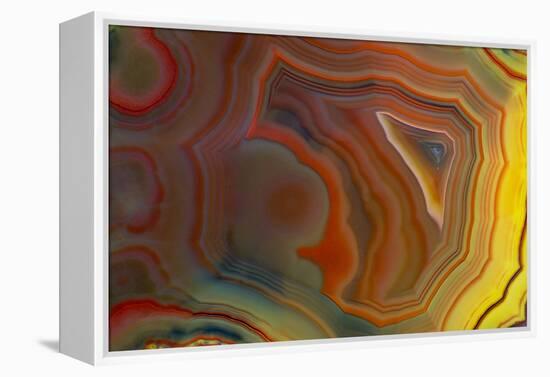 Banded Agate, Sammamish, Washington-Darrell Gulin-Framed Premier Image Canvas