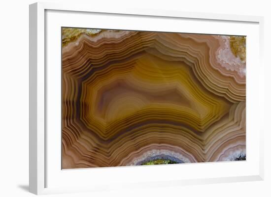 Banded Agate, Sammamish, Washington-Darrell Gulin-Framed Photographic Print