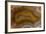 Banded Agate, Sammamish, Washington-Darrell Gulin-Framed Photographic Print