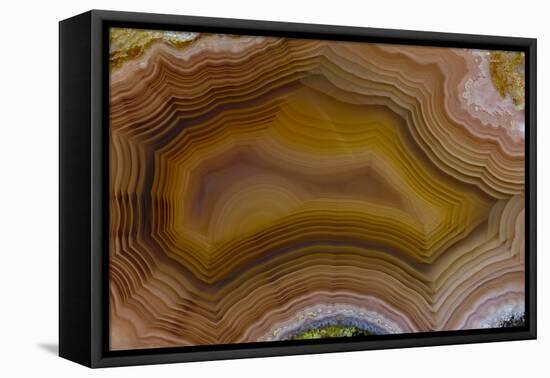 Banded Agate, Sammamish, Washington-Darrell Gulin-Framed Premier Image Canvas