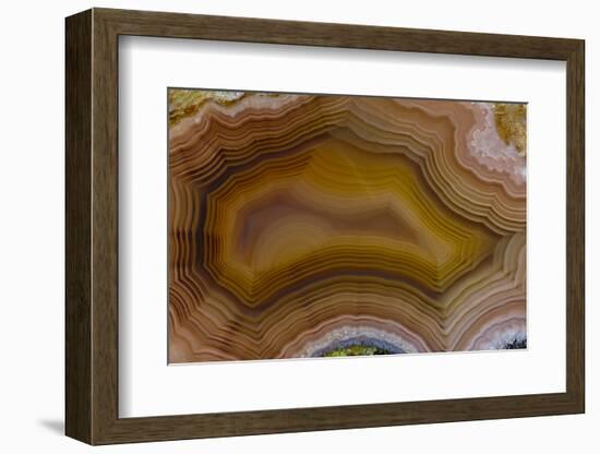 Banded Agate, Sammamish, Washington-Darrell Gulin-Framed Photographic Print