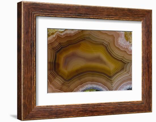 Banded Agate, Sammamish, Washington-Darrell Gulin-Framed Photographic Print