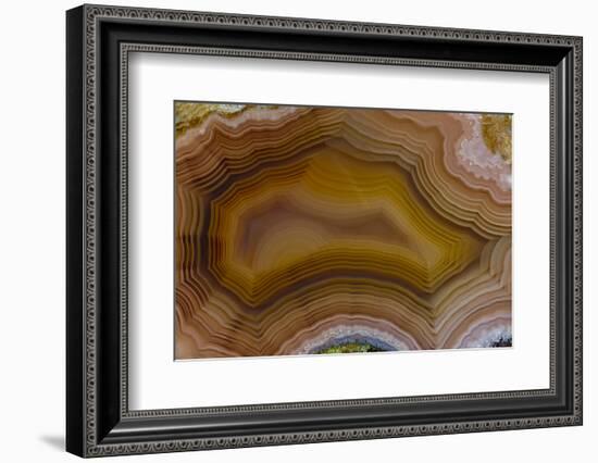 Banded Agate, Sammamish, Washington-Darrell Gulin-Framed Photographic Print