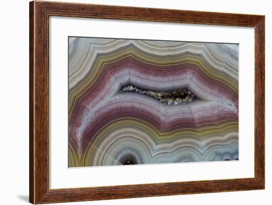 Banded Agate, Sammamish, Washington-Darrell Gulin-Framed Premium Photographic Print