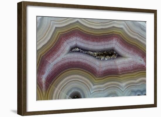 Banded Agate, Sammamish, Washington-Darrell Gulin-Framed Premium Photographic Print