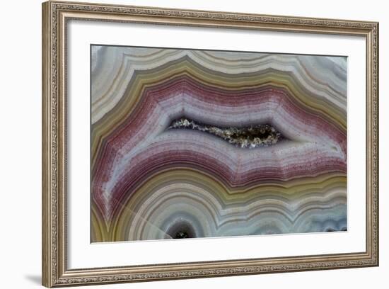 Banded Agate, Sammamish, Washington-Darrell Gulin-Framed Photographic Print