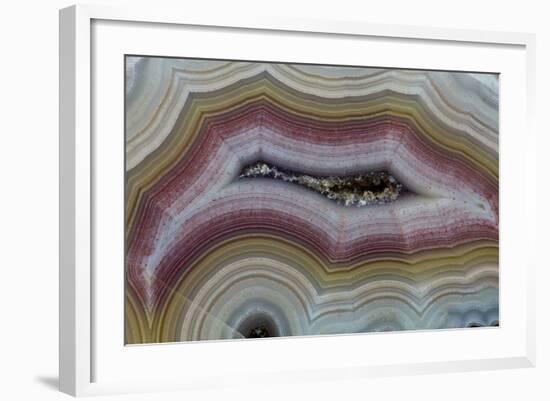 Banded Agate, Sammamish, Washington-Darrell Gulin-Framed Photographic Print