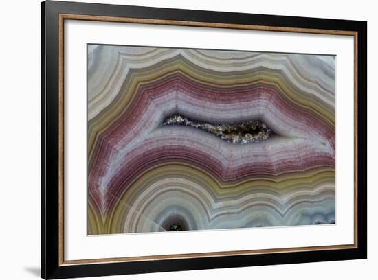 Banded Agate, Sammamish, Washington-Darrell Gulin-Framed Photographic Print