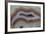 Banded Agate, Sammamish, Washington-Darrell Gulin-Framed Photographic Print