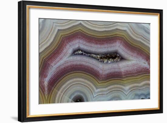 Banded Agate, Sammamish, Washington-Darrell Gulin-Framed Photographic Print