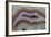 Banded Agate, Sammamish, Washington-Darrell Gulin-Framed Photographic Print