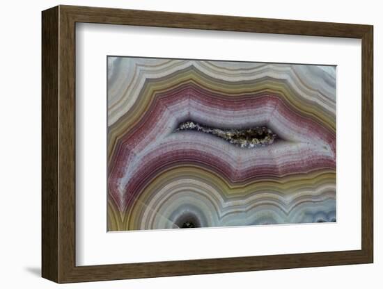 Banded Agate, Sammamish, Washington-Darrell Gulin-Framed Photographic Print