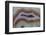 Banded Agate, Sammamish, Washington-Darrell Gulin-Framed Photographic Print