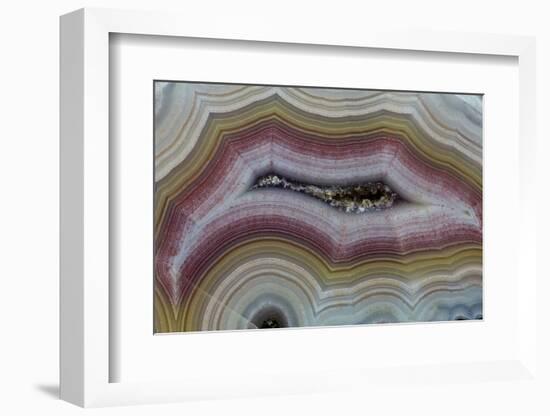 Banded Agate, Sammamish, Washington-Darrell Gulin-Framed Photographic Print