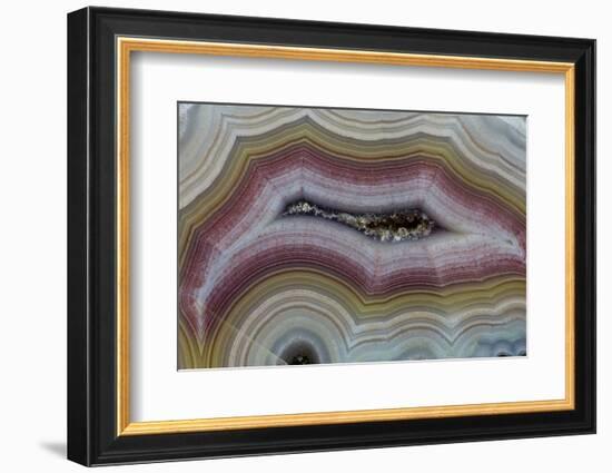 Banded Agate, Sammamish, Washington-Darrell Gulin-Framed Photographic Print