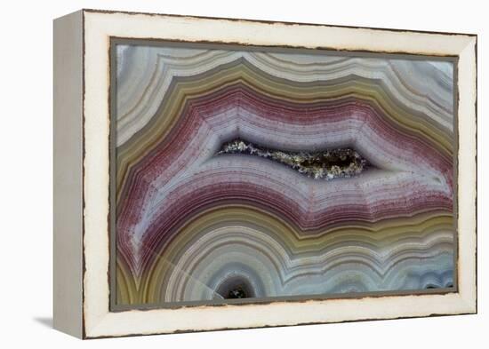 Banded Agate, Sammamish, Washington-Darrell Gulin-Framed Premier Image Canvas