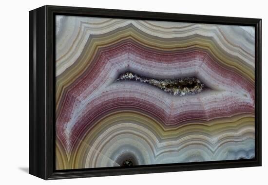 Banded Agate, Sammamish, Washington-Darrell Gulin-Framed Premier Image Canvas